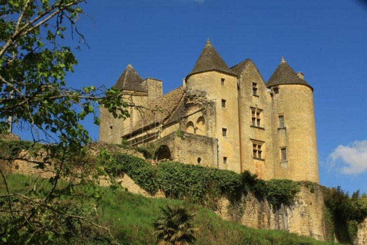 Petite maison en pierre au coeur du Périgord noir proche de Sarlat et Rocamadour Salignac Eyvigues Exterior foto