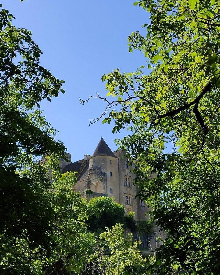 Petite maison en pierre au coeur du Périgord noir proche de Sarlat et Rocamadour Salignac Eyvigues Exterior foto