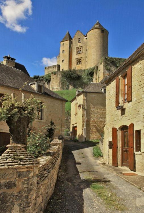 Petite maison en pierre au coeur du Périgord noir proche de Sarlat et Rocamadour Salignac Eyvigues Exterior foto
