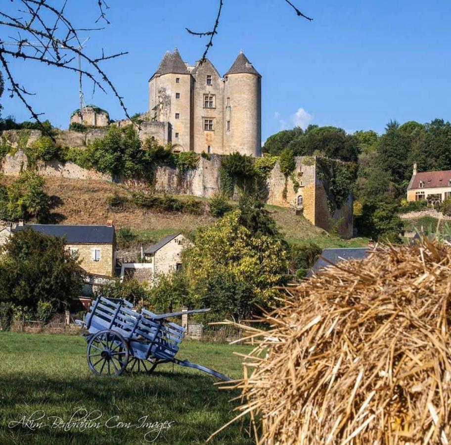 Petite maison en pierre au coeur du Périgord noir proche de Sarlat et Rocamadour Salignac Eyvigues Exterior foto
