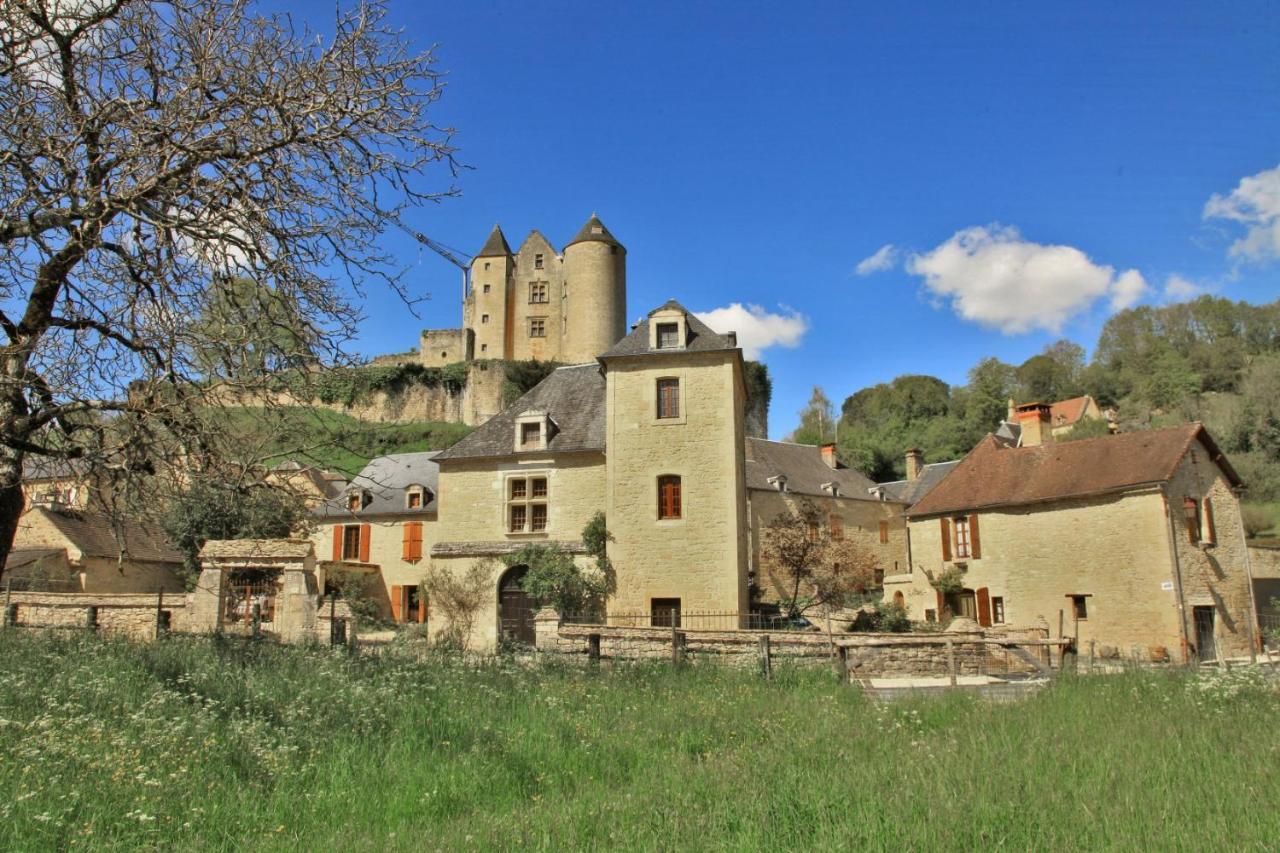 Petite maison en pierre au coeur du Périgord noir proche de Sarlat et Rocamadour Salignac Eyvigues Exterior foto