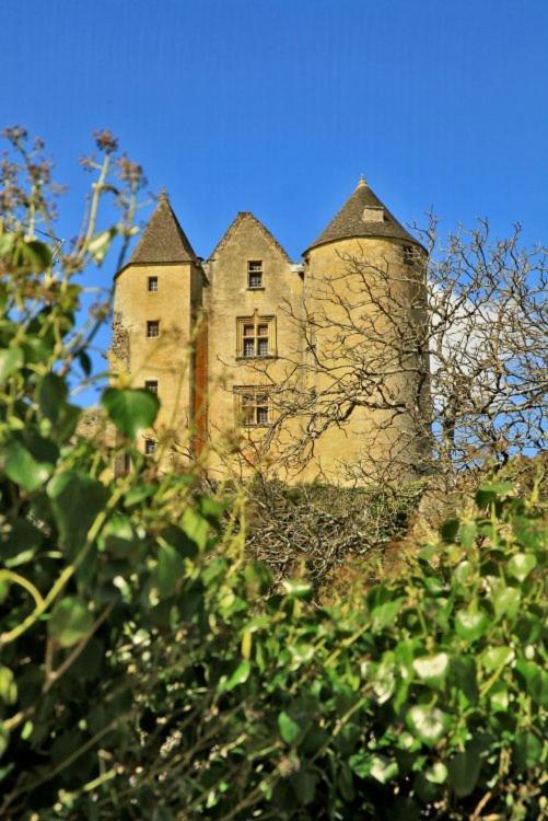 Petite maison en pierre au coeur du Périgord noir proche de Sarlat et Rocamadour Salignac Eyvigues Exterior foto